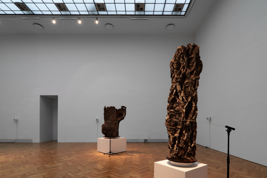 Gil Delidro, Odolnost - korková série, foto Polina Davydenko